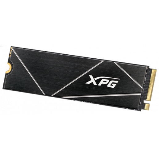 Kingston Endurance 95R