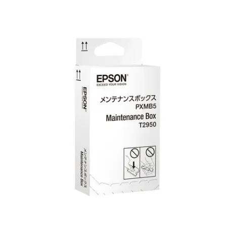 Epson C13T295000