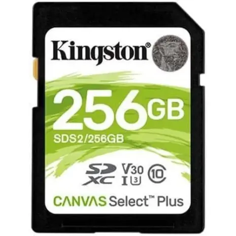 Kingston, 256 GB - SDXC UHS-I