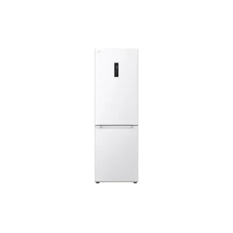 LG GBV3100ESW