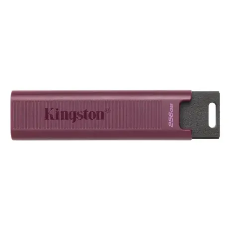 Kingston  DataTraveler MAX, 512 GB