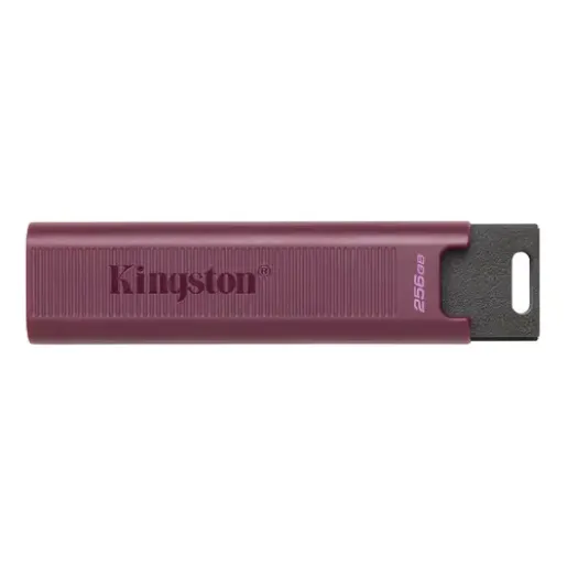 Kingston  DataTraveler MAX, 512 GB